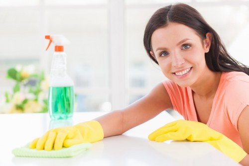 Professional cleaners in Crystal Palace working in a modern home