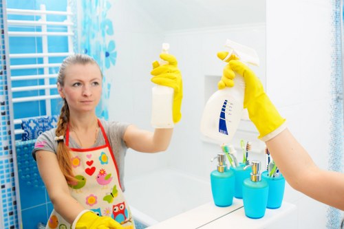 Professional office cleaners in Crystalpalace maintaining a tidy workspace