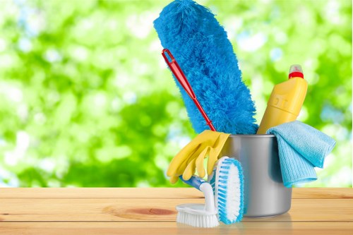 Regular cleaning service for a Crystal Palace home interior