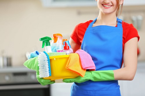 Professional carpet cleaner in Crystalpalace deep cleaning a living room carpet