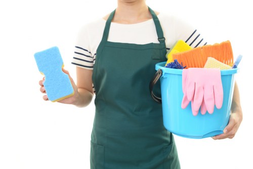 Professional oven cleaning in Crystalpalace removing grease and grime