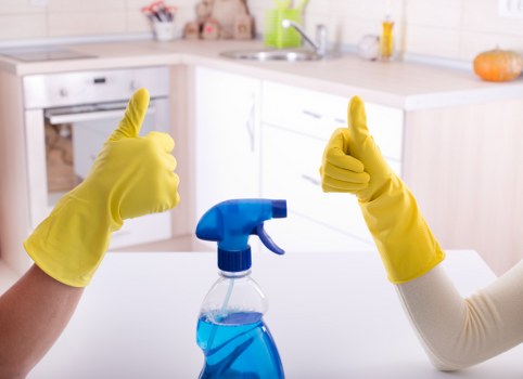 Flexible domestic cleaning service for a Crystal Palace property