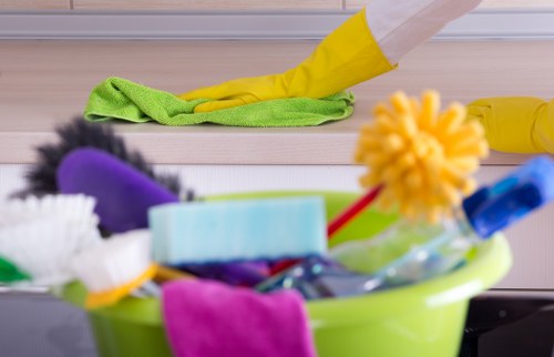 Professional cleaner in Crystalpalace providing home cleaning service