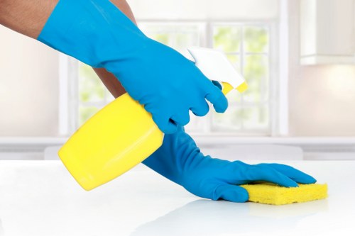Professional Crystal Palace cleaners working in a bright home interior
