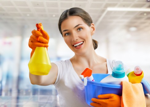 Professional Crystalpalace cleaners working in a tidy living space