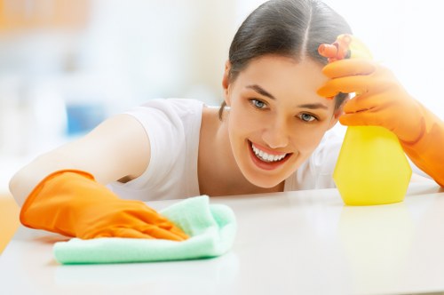 Local cleaner working in a Crystal Palace flat with practical access considerations