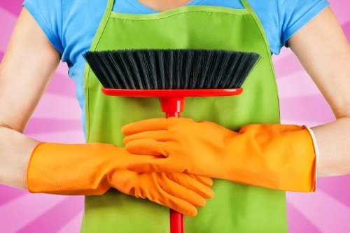 Professional one off cleaning in a Crystal Palace home