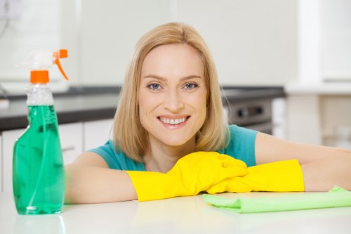 Professional upholstery cleaning for sofas and armchairs in Crystal Palace