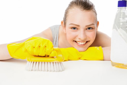 Local cleaners providing office cleaning in Crystal Palace