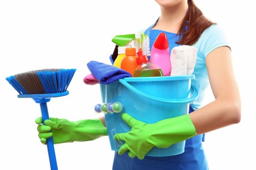 Expert sofa cleaning process for upholstery in Crystalpalace