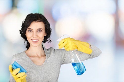Detailed room cleaning for a Crystal Palace tenancy handover