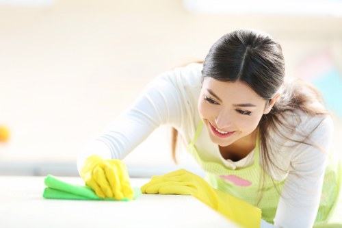 Domestic cleaner working in a Crystal Palace home living room