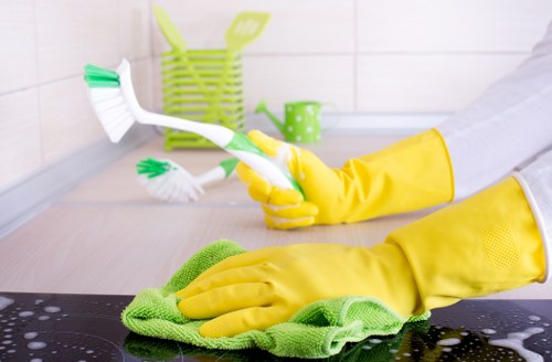 Requesting accessibility support from Crystal Palace Cleaners