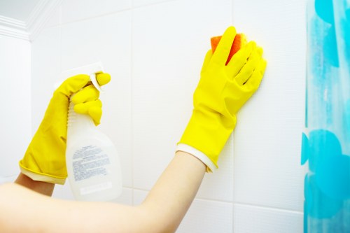 Regular home cleaning service in Crystalpalace for a tidy family home