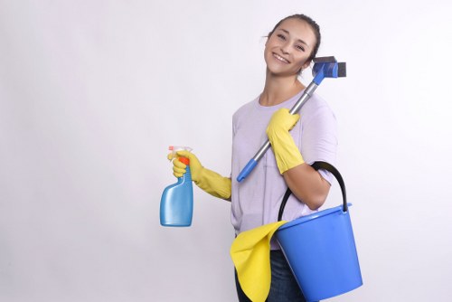 Deep upholstery cleaning for fabric sofas in Crystal Palace