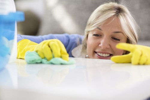Professional window cleaning in Crystalpalace for a bright home exterior