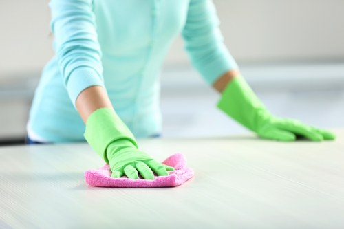 Kitchen deep cleaning during a Crystal Palace tenancy handover