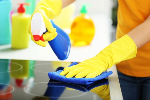 Inclusive digital experience for Crystal Palace cleaning services