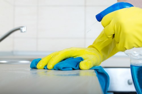 Cleaner preparing a safe and insured cleaning service