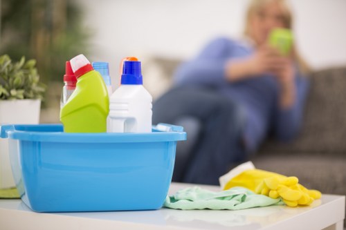Regular domestic cleaning for a Crystal Palace flat or house