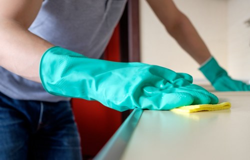 Domestic cleaner in Crystalpalace tidying a living room