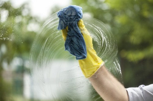 Interior and exterior window cleaning for a modern Crystalpalace property