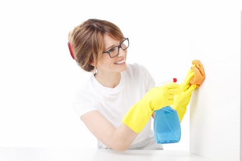 Hygiene-focused cleaning process with safe surface sanitation