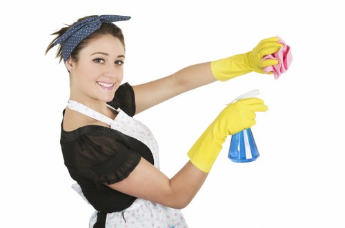 Local oven cleaning for a family kitchen in Crystal Palace
