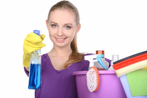 Carpets cleaner in Crystalpalace providing stain and odour removal service