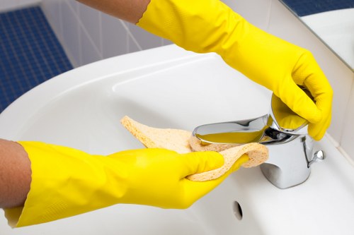 Local domestic cleaning service covering Crystal Palace and nearby areas