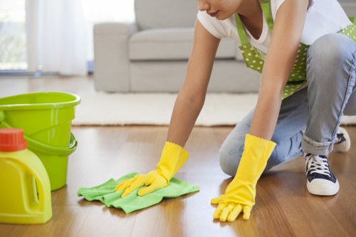 Professional house cleaning in Crystalpalace kitchen area